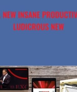 All New Insane Productivity Ludicrous New - Darren Hardy