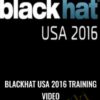 Blackhat USA 2016 Training Video