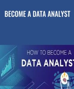 Become a Data Analyst