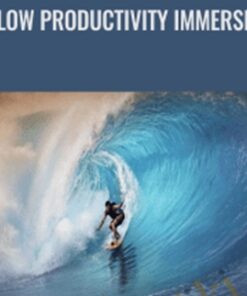 Flow Productivity Immersion - DIY Genius Media