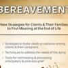 Death, Dying & Bereavement: New Strategies for Clients & Their Families to Find Meaning at the End of Life - Ligia M Houben