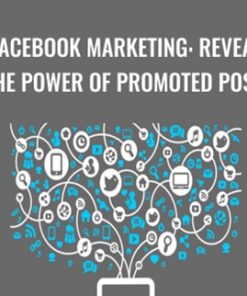 Facebook Marketing: Reveal The Power of Promoted Posts - Sandor Kiss