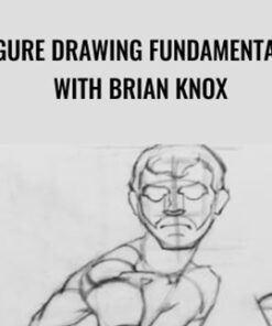 Head Drawing Fundamentals with Brian Knox - Watts Atelier