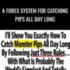 A Forex System For Catching Pips All Day Long – Forex Pip Fishing