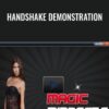 Handshake Demonstration