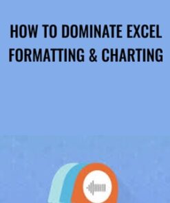 How To Dominate Excel Formatting & Charting - Sandor Kiss & Matthias Bellmann