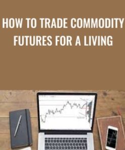 How To Trade Commodity Futures for a Living - Bruce Levy