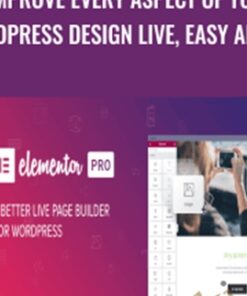Improve  Every Aspect of Your WordPress Design Live, Easy and Fun – Elementor Pro