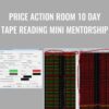 Price Action Room 10 Day Tape Reading Mini Mentorship – Joel Parker