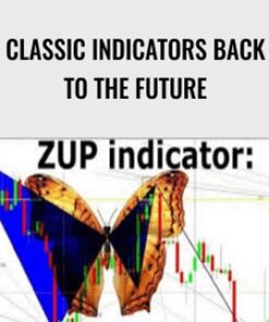Classic Indicators Back to the Future - Linda Raschke