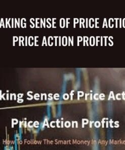 Making Sense of Price Action Price Action Profits - Scott Foster.