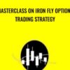 MasterClass on Iron fly Options Trading Strategy » Courses[GB]