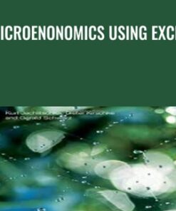 Microenonomics Using Excel - Kurt Jechlitschka