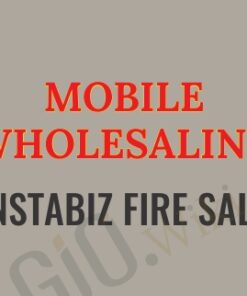 Mobile Wholesaling! Instabiz Fire Sale - Justin Wilmot
