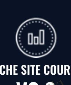Niche Site Course V3.0 - Chris Lee