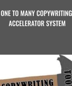 One To Many Copywriting Accelerator System - Dave Dee