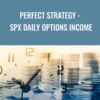 Perfect Strategy - SPX Daily Options Income - Peter Titus