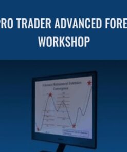 Pro Trader Advanced Forex WorkShop - Chris Lori