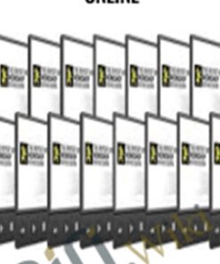 Report Writing Workshop Online – Rich Schefren