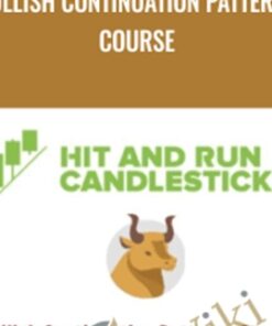 Bullish Continuation Patterns Course - Rick Saddler