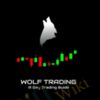 Roland Wolf Wolf Trading A Day Trading Guide » Courses[GB]