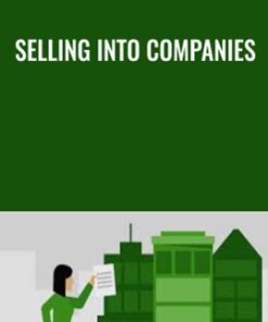 Selling into Companies - Lisa Earle McLeod & Elizabeth Lotardo