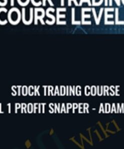 Stock Trading Course Level 1 Profit Snapper