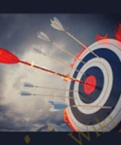 Targeting Genre for Big Sales – C. S. Lakin