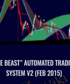 “The Beast” Automated Trading System V2 (Feb 2015)