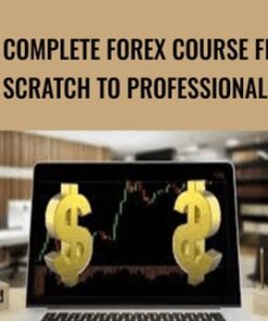 The Complete Forex Course From Scratch to Professional