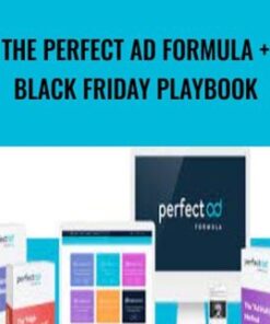 The Perfect Ad Formula + Black Friday Playbook – Wilco de Kreij