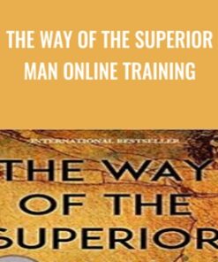 The Way of the Superior Man Online Training - David Deida
