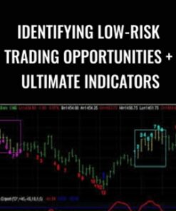 Identifying Low-Risk Trading Opportunities + Ultimate Indicators – Tom Demark
