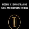 Module 1 2 Swing Trading Forex and Financial Futures - Trader Dante