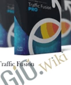 Traffic Fusion – Precious Ngwu