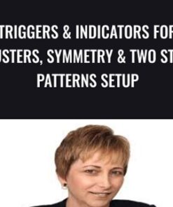 Triggers & Indicators for Clusters, Symmetry & Two Steps Patterns Setup - Carolyn Boroden