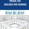 Virtual CEO (includes new seminar)