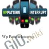 WP Pattern Interrupt danlew2C Zbigniew Klej » Courses[GB]