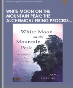 White Moon on the Mountain Peak: The Alchemical Firing Process of Nei Dan - Damo Mitchell