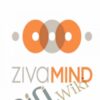 Zivamind Meditation - Vanessa Van Edwards