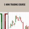 E-mini Trading Course – Zoran Kolundzic