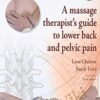 A massage therapist's guide to lower back and pelvic pain - Sandy Fritz