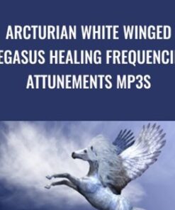 Arcturian White Winged Pegasus Healing Frequencies Attunements mp3s