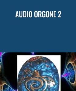 Audio Orgone 2