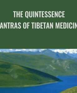 The Quintessence Tantras of Tibetan Medicine - Barry Clark and Dalai Lama