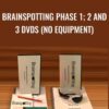 Brainspotting Phase 1; 2 and 3 DVDs (No Equipment) - David Grand