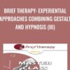 Brief Therapy: Experiential Approaches Combining Gestalt and Hypnosis (III) - Jeffrey Zeig & Erving Polster