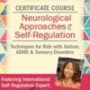 Certificate Course in Neurological Approaches for Self-Regulation: Techniques for Kids with Autism, ADHD, & Sensory Disorders - Varleisha D. Gibbs