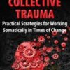 Collective Trauma Practical Strategies for Working Somatically in Times of Change » Courses[GB]