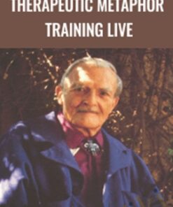 Therapeutic Metaphor Training LIVE - David Gordon
